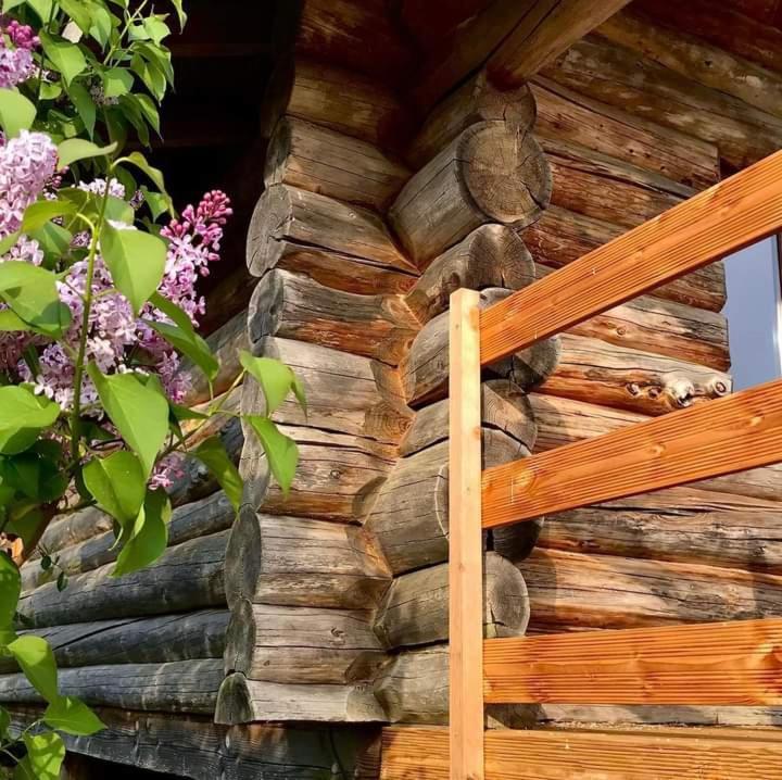 Villa Aux Demeures Des Fees Thouron Exterior foto